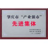 肇慶市“產業強市”先進集體